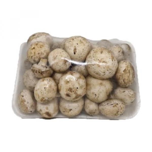 JAMUR CHAMPIGNON 1 PACK