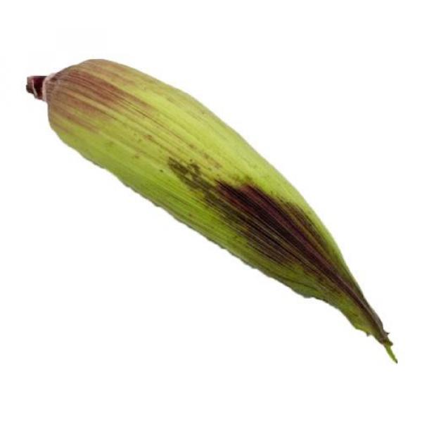 JAGUNG KETAN UNGU BRASTAGI 1KG