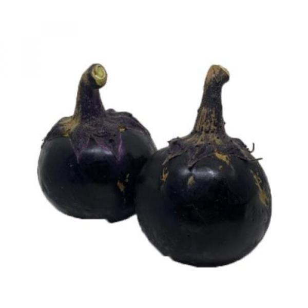 TERONG BULAT UNGU BRASTAGI 1KG