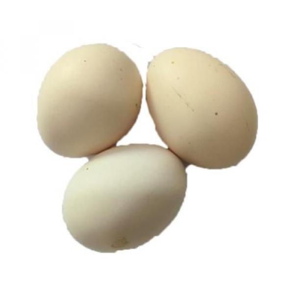 TELUR AYAM KAMPUNG 1 BUTIR